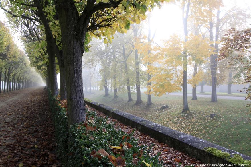 Media Name: 17-parc.jpg