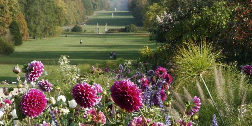 © Château de Compiègne / M. Poirier